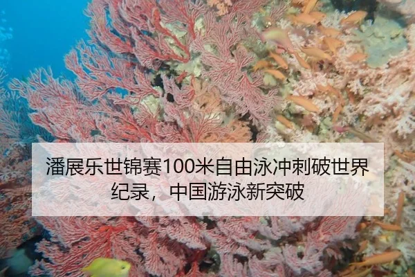 潘展乐世锦赛100米自由泳冲刺破世界纪录，中国游泳新突破