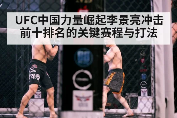 MMA cage fight